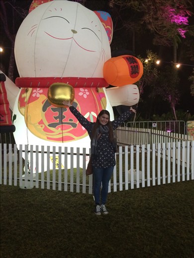 Brisbane Night Noodle Market