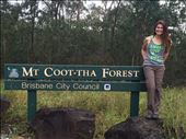 Bushwalking Mt Coot-tha: by stephmonahan, Views[200]