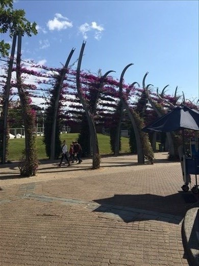 South Bank Parklands