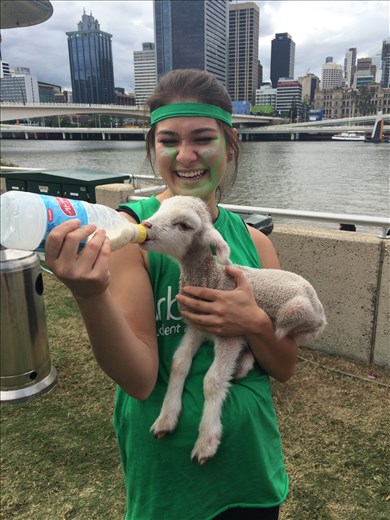 Petting zoo at the Dragon Boat Regatta