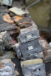 The Melted Cassette: by stepping_foot, Views[266]