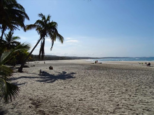 Beautiful beaches, everyone was very different.