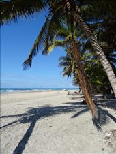 Lazy days: by steve-dylan, Views[173]