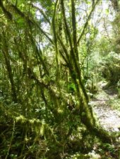 by steve_and_emma, Views[421]