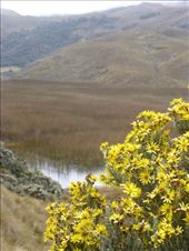 by steve_and_emma, Views[419]