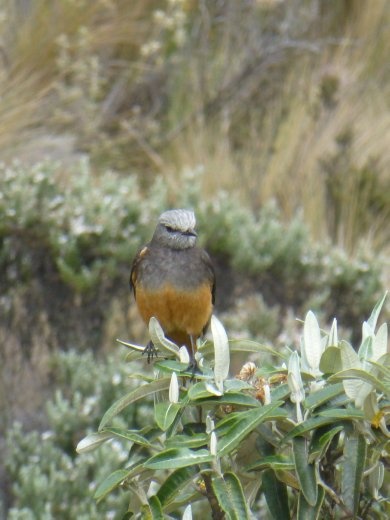 We had hoped to see more bird life.