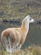 by steve_and_emma, Views[470]