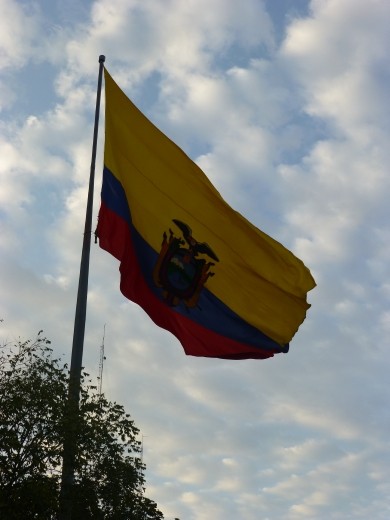 Proudly flying the flag.