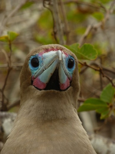 What yer looking at?