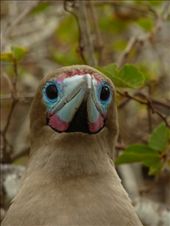 What yer looking at?: by steve_and_emma, Views[422]