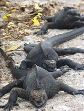Join the queue, it could be a long wait.: by steve_and_emma, Views[445]