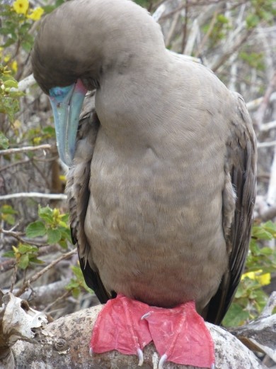 Do you think my feet look daft in red?