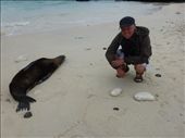 Who could get bored of sea lions?: by steve_and_emma, Views[314]
