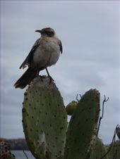 by steve_and_emma, Views[558]