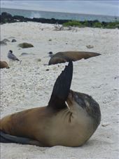 Hi there!: by steve_and_emma, Views[547]