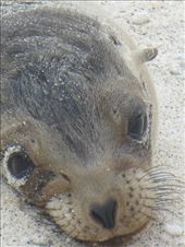 by steve_and_emma, Views[548]