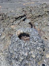 by steve_and_emma, Views[433]