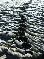 by steve_and_emma, Views[585]