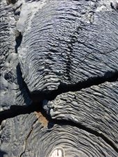 by steve_and_emma, Views[564]