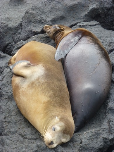 Wake up it's morning in the Galapagos.