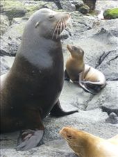 Oh alright then, I'll get up.: by steve_and_emma, Views[312]