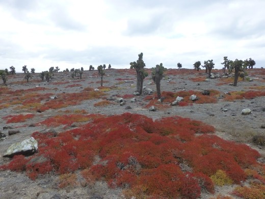 The colours on Plaza South were vibrant.