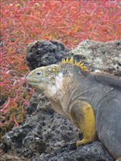 by steve_and_emma, Views[337]