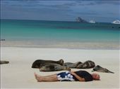 I seem to be turning into a sea lion, certainly got enough blubber!: by steve_and_emma, Views[381]