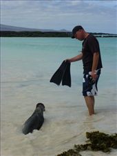 This pup thought I was a sea lion too, well I did have flippers!: by steve_and_emma, Views[381]