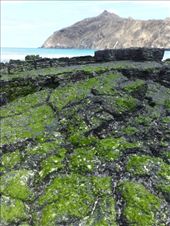 by steve_and_emma, Views[385]