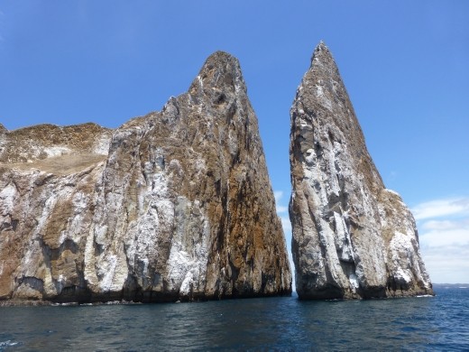 Snorkelling at Kicker Rock with 40 sharks was a real highlight.