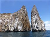 Snorkelling at Kicker Rock with 40 sharks was a real highlight.: by steve_and_emma, Views[393]