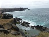 The coastline on Espanola was pretty rugged.: by steve_and_emma, Views[375]