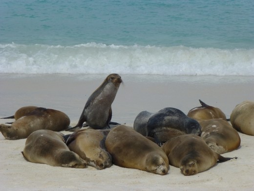 Lots of my new friends here too!