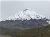 The clouds lifted so we got a view of Cotapaxi.: by steve_and_emma, Views[336]