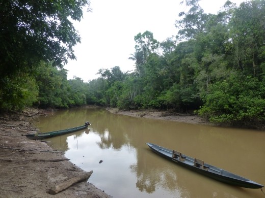 The river outside the lodge.