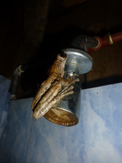 He couldn't get the hot shower to work either!