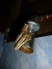 He couldn't get the hot shower to work either!: by steve_and_emma, Views[309]