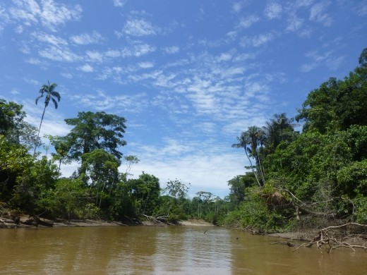 We enjoyed the river trips the most out of all the activities.