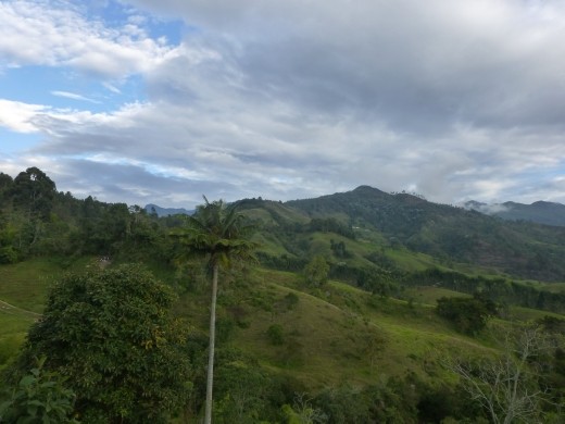 The view from La Floresta's garden.