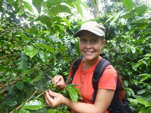 Emma helps to pick some beans.