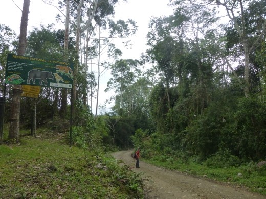 We finally made it to the forset reserve.