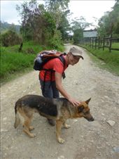 Emma with our guide dog Luna.: by steve_and_emma, Views[421]