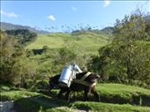 Colombian milk float.: by steve_and_emma, Views[376]