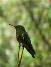 by steve_and_emma, Views[362]