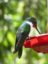 by steve_and_emma, Views[372]