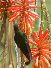 by steve_and_emma, Views[406]