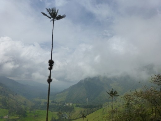 Breath taking views.