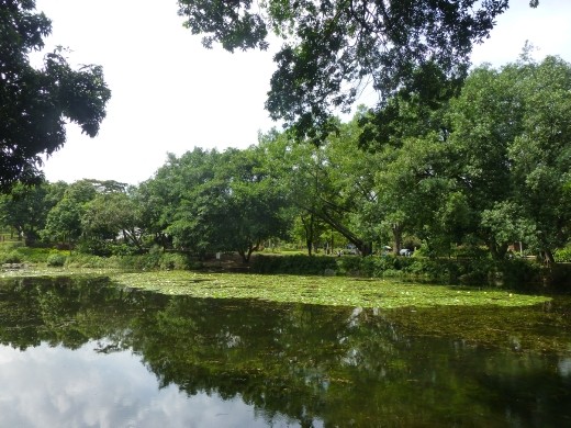 The botanical gardens are a good escape from the noise of Medellin.