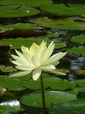 by steve_and_emma, Views[291]